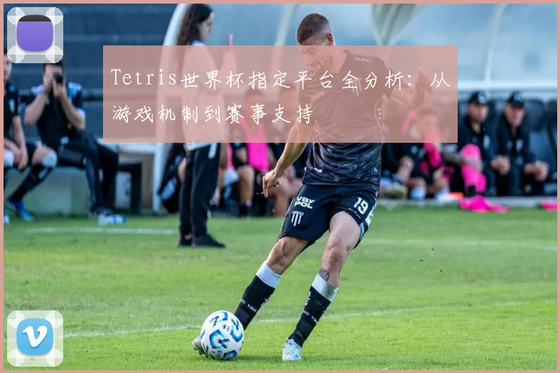 Tetris世界杯指定平台全分析：从游戏机制到赛事支持