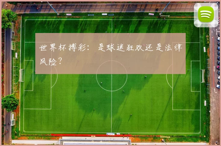 世界杯搏彩：是球迷狂欢还是法律风险？