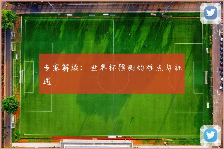 专家解读：世界杯预测的难点与机遇