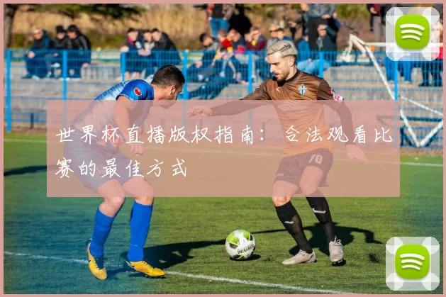 世界杯直播版权指南:合法观看比赛的最佳方式