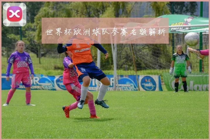 世界杯欧洲球队参赛名额解析