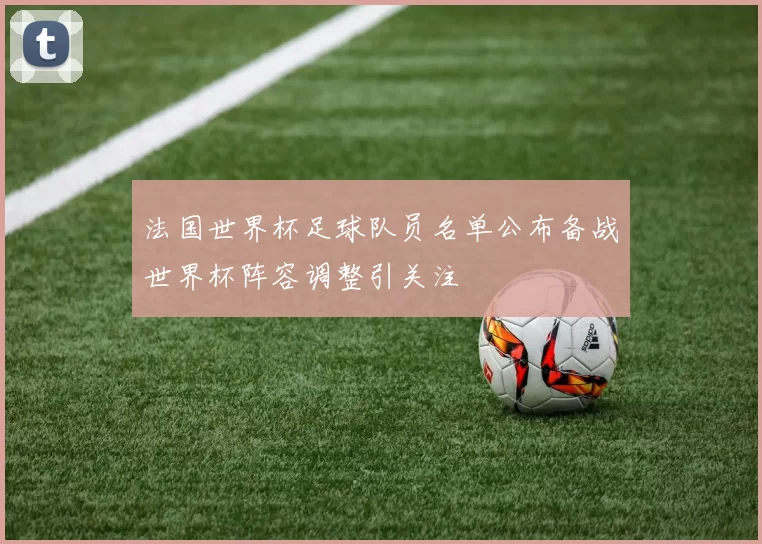 法国世界杯足球队员名单公布备战世界杯阵容调整引关注