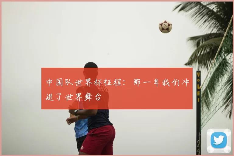 中国队世界杯征程：那一年我们冲进了世界舞台