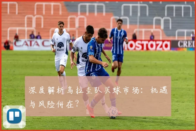 深度解析乌拉圭队买球市场:机遇与风险何在?