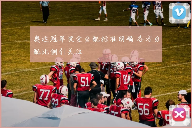 奥运冠军奖金分配标准明确 各方分配比例引关注