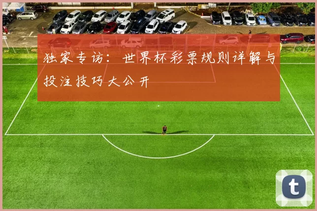 独家专访：世界杯彩票规则详解与投注技巧大公开
