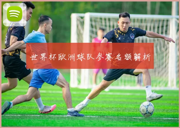 世界杯欧洲球队参赛名额解析